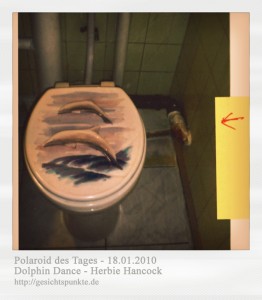Polaroid des Tages: Dolphin Dance