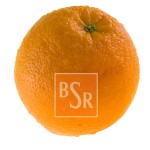Die Berliner Orangen! BSR Die Berliner Orangen! BSR