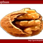 Kopfnuss