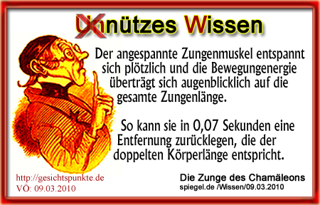 Unnützes Wissen: Die Zunge eines Chamäleons Unnützes Wissen: Die Zunge eines Chamäleons