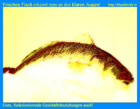 Frischer Fisch! Frischer Fisch!