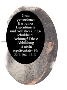 graugewordener Bart graugewordener Bart