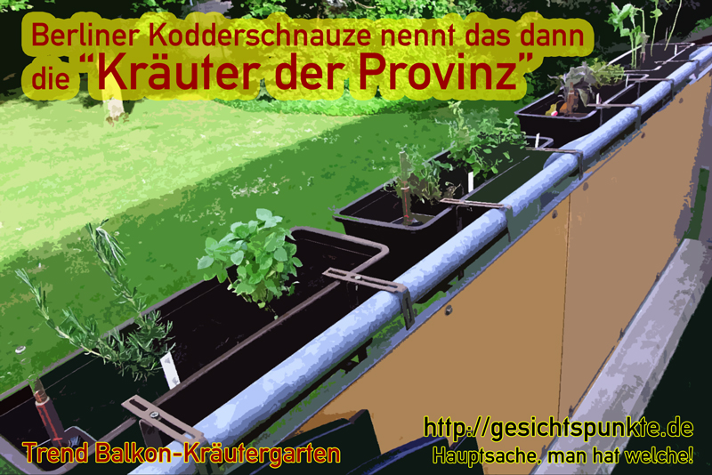 Berliner Kodderschnauze "Kräuter der Provinz" Berliner Kodderschnauze "Kräuter der Provinz"