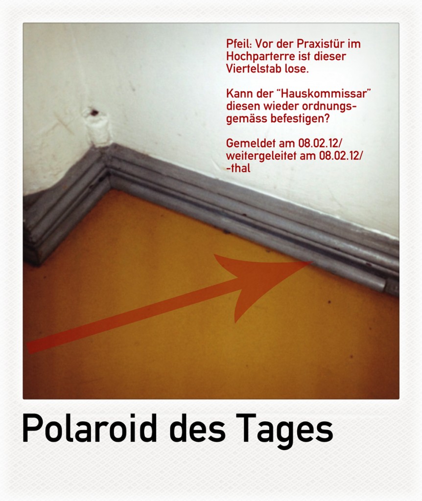 Polaroid des Tages "Der Viertelstab"