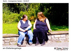 Strategie: Wärmedämmung am Elefantengehege