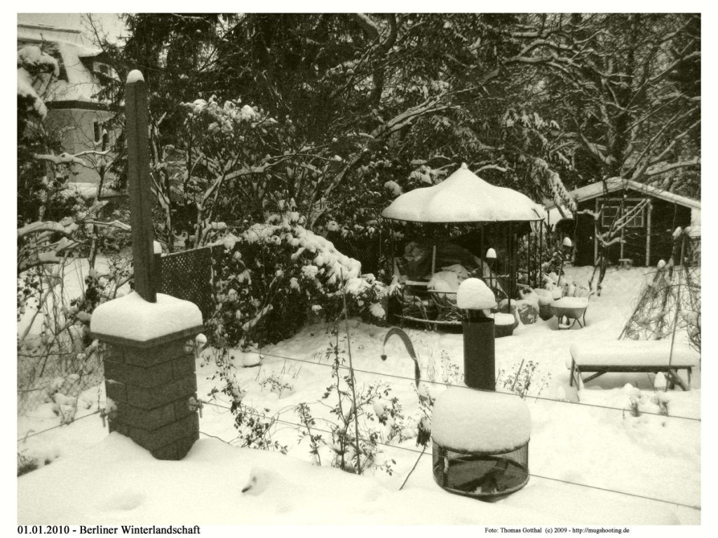 Berliner Winter 2010 (Foto: Thomas Gotthal) Berliner Winter 2010 (Foto: Thomas Gotthal)