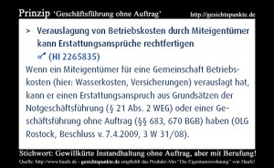 Prinzip: Geschäftsführung ohne Auftrag