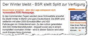 Screenshot BSR-Homepage (12.02.2010)