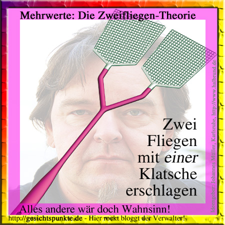 Die Zwei-Fliegen-Theorie