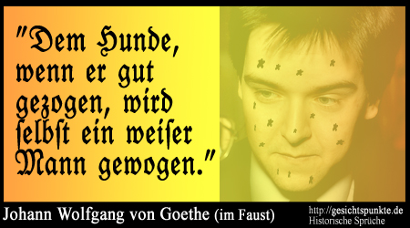 Historische Sprüche: Johann-Wolfgang von Goethe (Faust) Historische Sprüche: Johann-Wolfgang von Goethe (Faust)