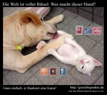 Was macht dieser Hund? Bilderrätsel Was macht dieser Hund? Bilderrätsel