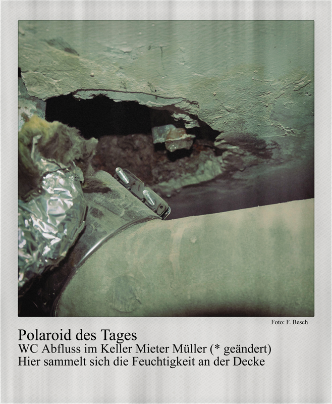 Polaroid des Tages: Der WC-Abfluss Polaroid des Tages: Der WC-Abfluss