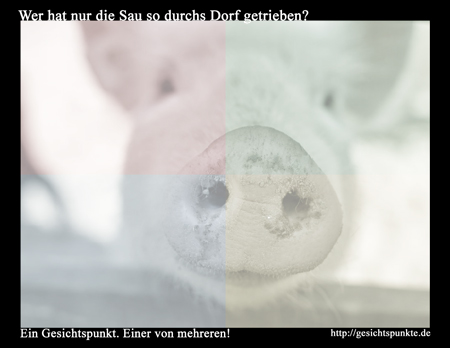 Wer hat nur die Sau so durchs Dorf getrieben? Wer hat nur die Sau so durchs Dorf getrieben?
