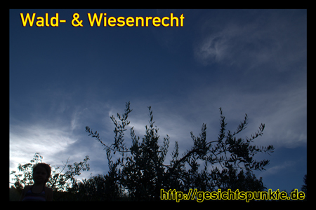 Banner Wald & Wiesenrecht