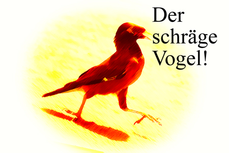 Der schräge Vogel!