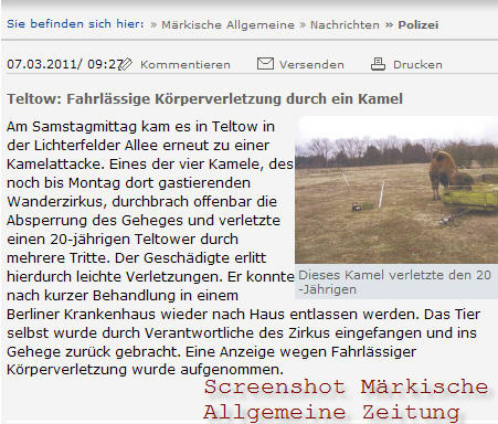 Kamele in Teltow (screenshot)