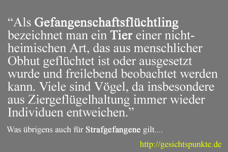 Gefangenschaftsflüchtling
