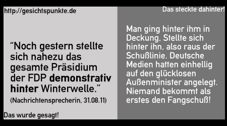DwgDsw: Westerwelle!