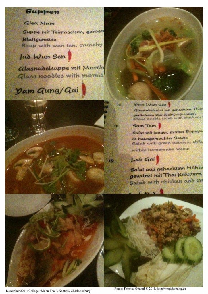 Fotocollage "Moon Thai" - Restaurantkritik