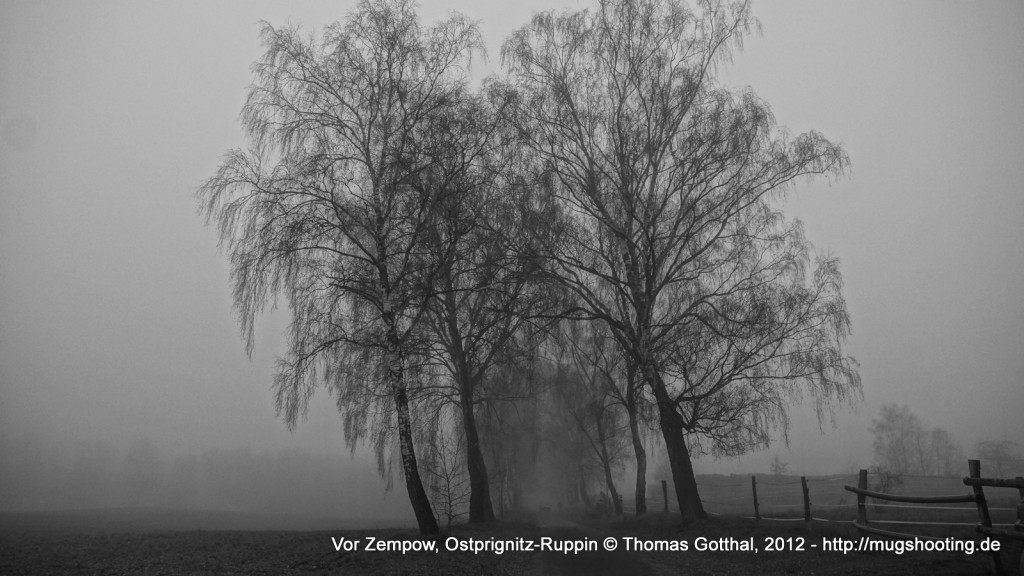 Vor Zempow, Ostprignitz-Ruppin