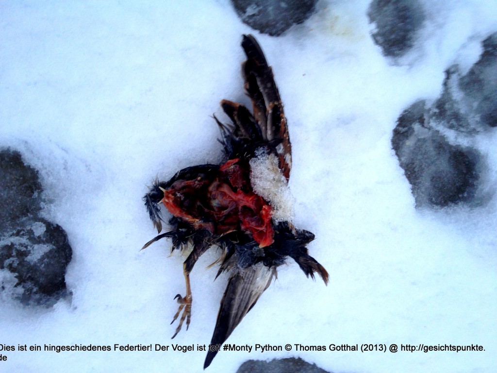 Dies ist ein hingeschiedenes Federtier! Der Vogel ist tot! #Monty Python