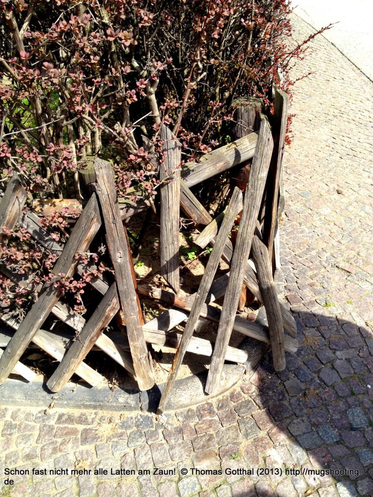 Latten am Zaun