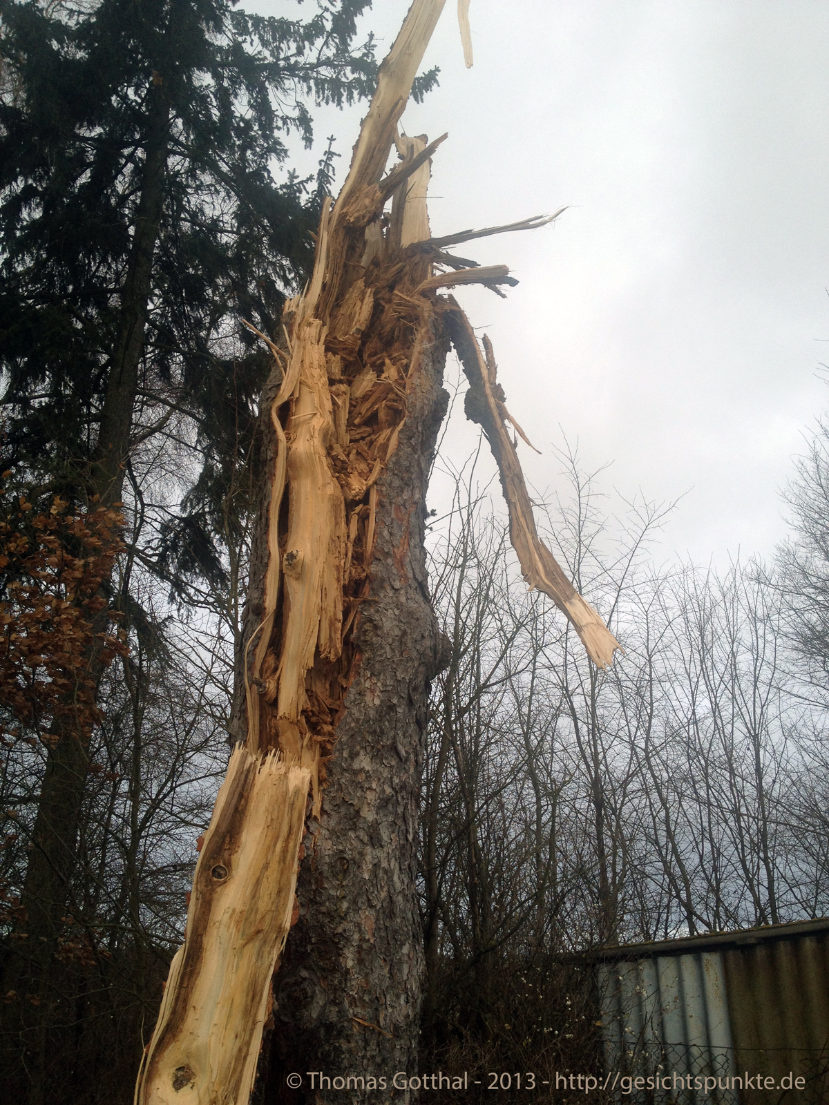 Sturmschaden Tief "Xaver" 06.12.13