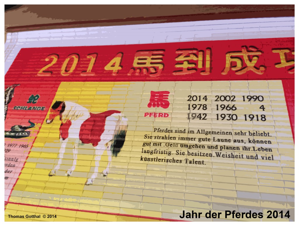 2014-01-04-15.11.55_Das.Jahr.des.Pferdes
