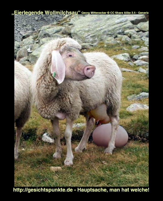 Eierlegende.Wollmilchsau