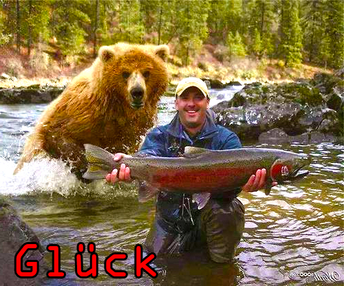 #Glück #Lachs #Fisch #Bär (Sinnbild)