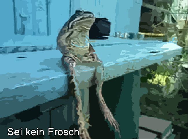 Sei.kein.Frosch_Banner